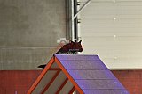  SAOWC/ JAOWC