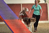  SAOWC/ JAOWC