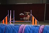  SAOWC/ JAOWC