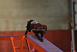  SAOWC/ JAOWC