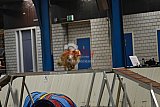 T.W.C. finale 2026