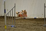 T.W.C. finale 2026