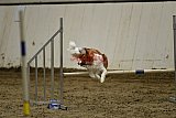 T.W.C. finale 2026