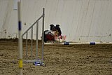 T.W.C. finale 2026