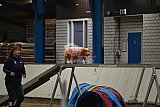 T.W.C. finale 2026