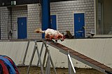 T.W.C. finale 2026