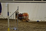T.W.C. finale 2026