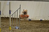 T.W.C. finale 2026