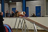 T.W.C. finale 2026