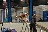 T.W.C. finale 2026