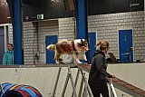 T.W.C. finale 2026