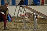 T.W.C. finale 2026