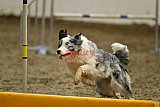 T.W.C. finale 2026