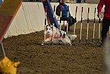T.W.C. finale 2026