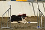T.W.C. finale 2026