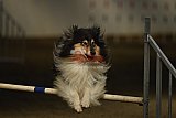 T.W.C. finale 2026