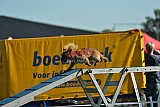UDEN MAANDAG