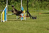 UDEN MAANDAG
