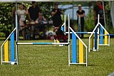UDEN MAANDAG