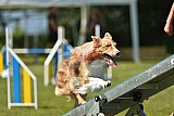 UDEN MAANDAG