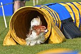 UDEN ZONDAG