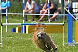 UDEN ZONDAG