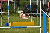 UDEN ZONDAG