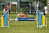 UDEN ZONDAG