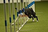 W.K. selectie hoogerheide zaterdag