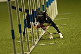 W.K. selectie hoogerheide zaterdag