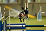 W.K. selectie hoogerheide zaterdag