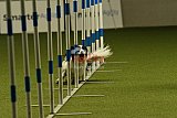 W.K. selectie hoogerheide zaterdag