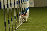 W.K. selectie hoogerheide zaterdag