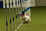 W.K. selectie hoogerheide zaterdag