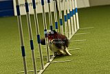 W.K. selectie hoogerheide zaterdag