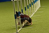 W.K. selectie hoogerheide zaterdag