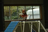 W.K. selectie hoogerheide zaterdag
