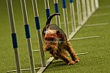 W.K. selectie hoogerheide zaterdag