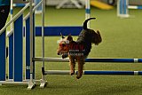 W.K. selectie hoogerheide zaterdag