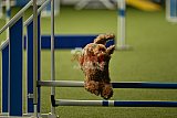 W.K. selectie hoogerheide zaterdag