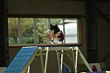 W.K. selectie hoogerheide zaterdag