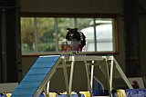 W.K. selectie hoogerheide zaterdag
