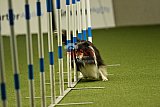 W.K. selectie hoogerheide zaterdag