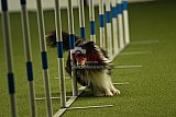 W.K. selectie hoogerheide zaterdag