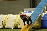 W.K. selectie hoogerheide zaterdag