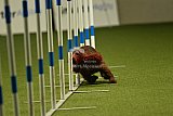 W.K. selectie hoogerheide zaterdag
