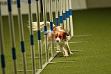 W.K. selectie hoogerheide zaterdag