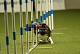 W.K. selectie hoogerheide zaterdag