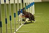 W.K. selectie hoogerheide zaterdag