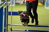 W.K. selectie hoogerheide zaterdag